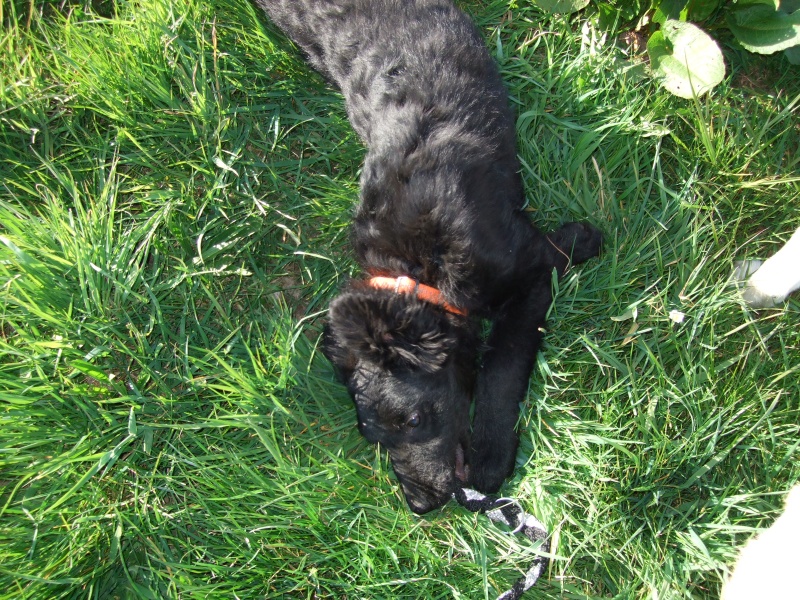 Ostern 2007 Orleshausen 090 